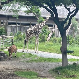 みんな！癒されて(^^)
