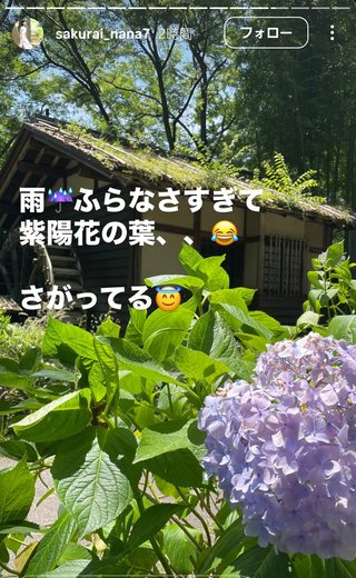 桜井奈々さんって