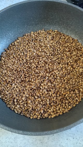 🍅〈ガーデニング🍀家庭菜園〉総合🌻