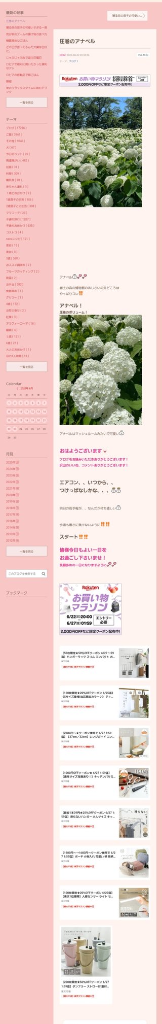 桜井奈々さんって