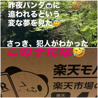 桜井奈々さんって