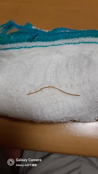 スーパーで売ってる瓶詰めのソボロからこれでてきたんだけどなんだと思う？