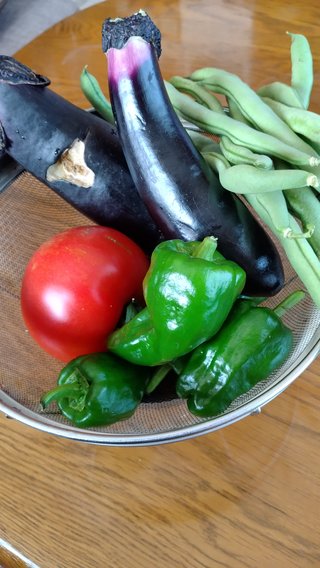 🍅〈ガーデニング🍀家庭菜園〉総合🌻