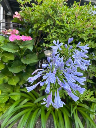 みんな！癒されて(^^)