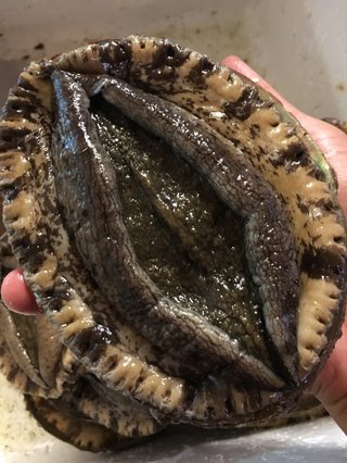 体臭がきつい女性に遭遇したことないの私だけ？