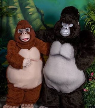 はなわ長男夫婦【げんきとまみ】YouTube