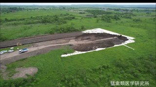 お願いだから、今回の参議院選挙だけは行ってほしい!取り返しつかなくなる!