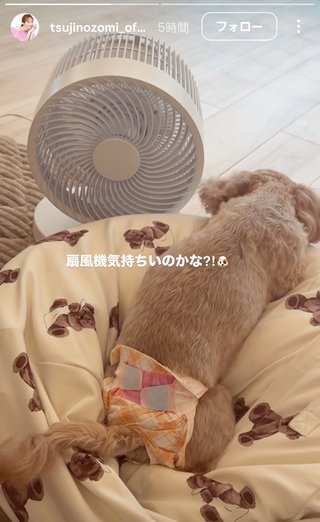 杉浦太陽オフィシャルブログ