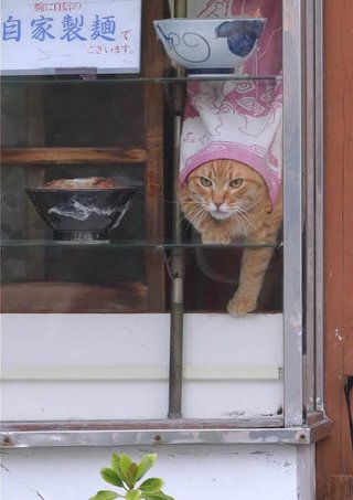 スタバに行くやつは負け、何で猫も杓子もスタバなの?