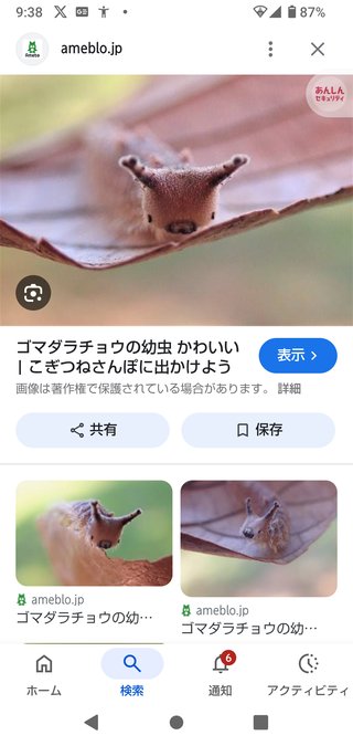 アゲハ蝶の幼虫って可愛いよね？