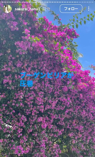 桜井奈々さんって