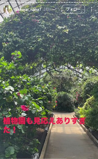 桜井奈々さんって