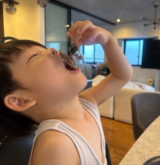 新★あいのり桃