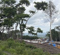 北海道倶知安町に｢中国村｣　東京ドーム13個分の土地を買い占め､違法に森林伐採