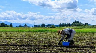参政党「有機農業･農家の公務員化で自給率100%｣