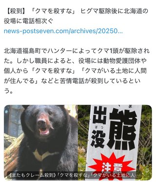 同情するなら熊を飼えよ