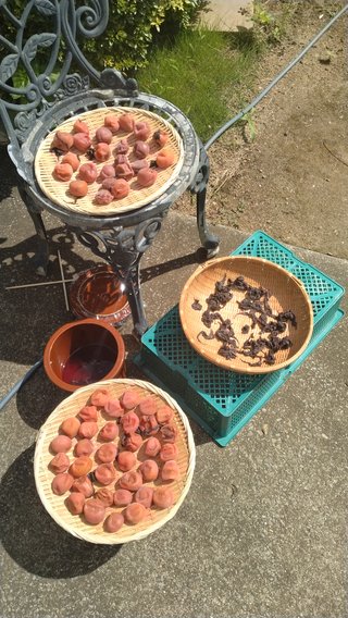 おすすめの梅干し教えてください。値段もわかればお願いします。