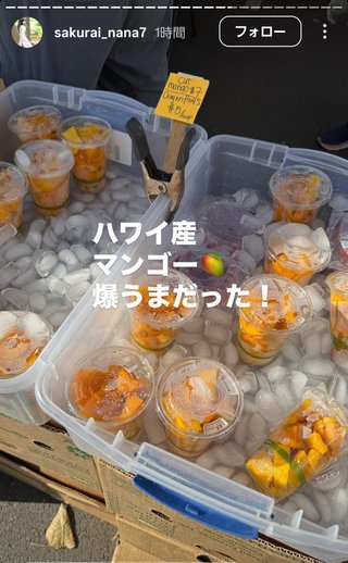 桜井奈々さんって