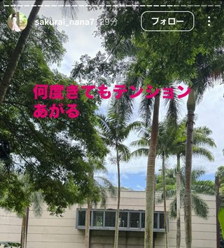 桜井奈々さんって