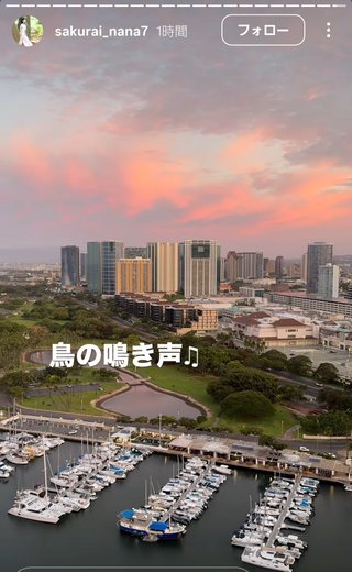 桜井奈々さんって