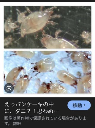 冷蔵庫に入れてた開封済み2021年のパン粉って使える？