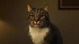 あなたの好きなＣＭは？