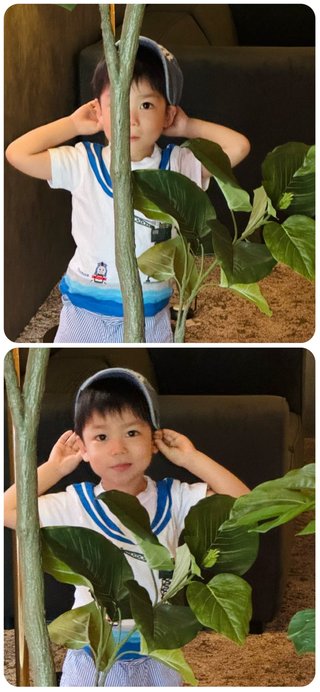 だいたひかる、１歳長男「自閉症の心配」医師に相談　母親としての思いつづる