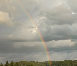 ママスタってほんとにカリカリしてる人多いよね