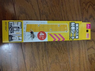 至急！教えて欲しい！絶対に効くコバエトラップの作り方。