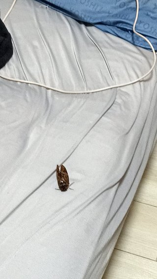 みんなの恐怖体験教えて！！