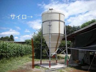 お洒落生活系YouTuberアンチ