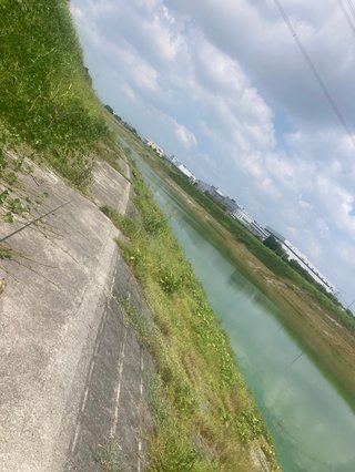 釣りに来ました