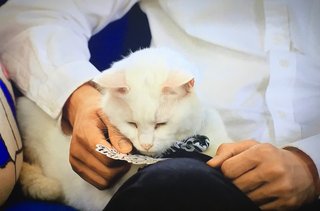 土曜ドラマ『ひとりでしにたい』6月21日〜NHK