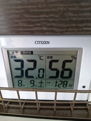 今年の夏は冷夏か？