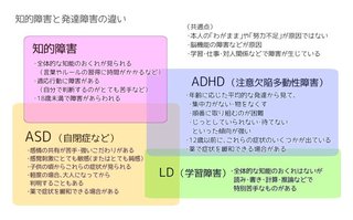 今更になって知的障害かもと言われたんですけど、どうしたら良いか分からないです。