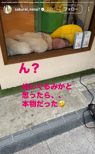 桜井奈々さんって