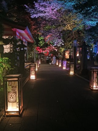 &#x{11:F8E2};なんでもいｰから&#x{11:F8E2};