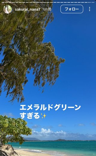 桜井奈々さんって