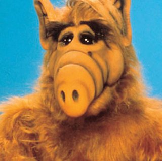 インスタグラマー