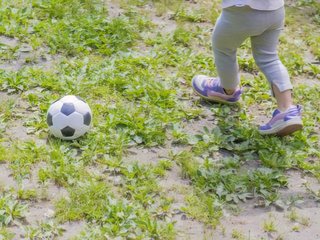 生活保護は税金無駄だと言ってるのに税リーグは誰も税金無駄だと言わない