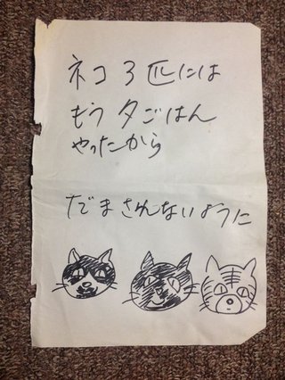 猫って「まだもらってません」の顔してこない？