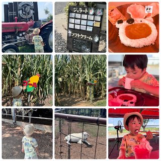 だいたひかる、１歳長男「自閉症の心配」医師に相談　母親としての思いつづる