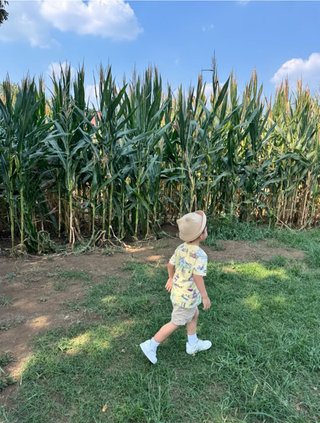 だいたひかる、１歳長男「自閉症の心配」医師に相談　母親としての思いつづる