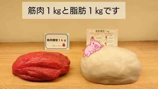 書き捨て！自己満！報告所