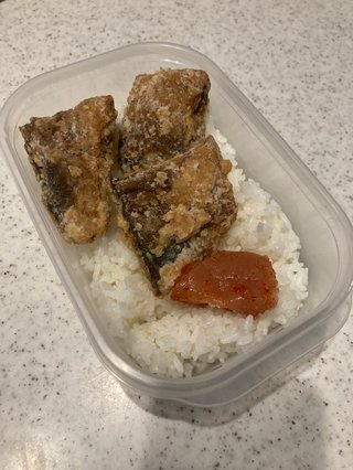 お弁当見せてください