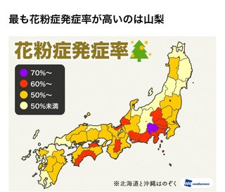 やっぱ都会って花粉症アレルギーでないの？