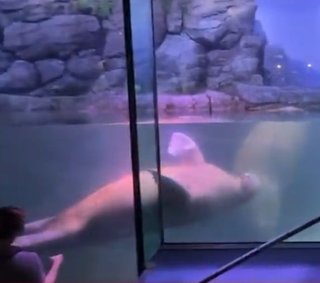 はなわ長男夫婦【げんきとまみ】YouTube