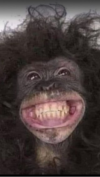 大島奈保美さん