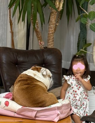 北斗晶☆ブログ