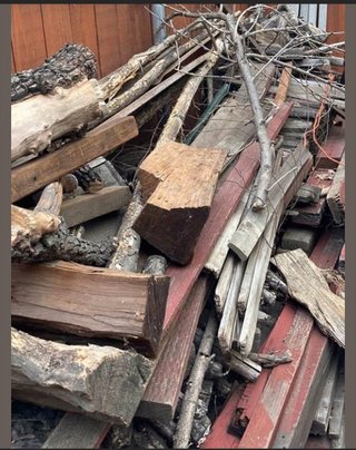 １０秒以内にネコを見つけろ